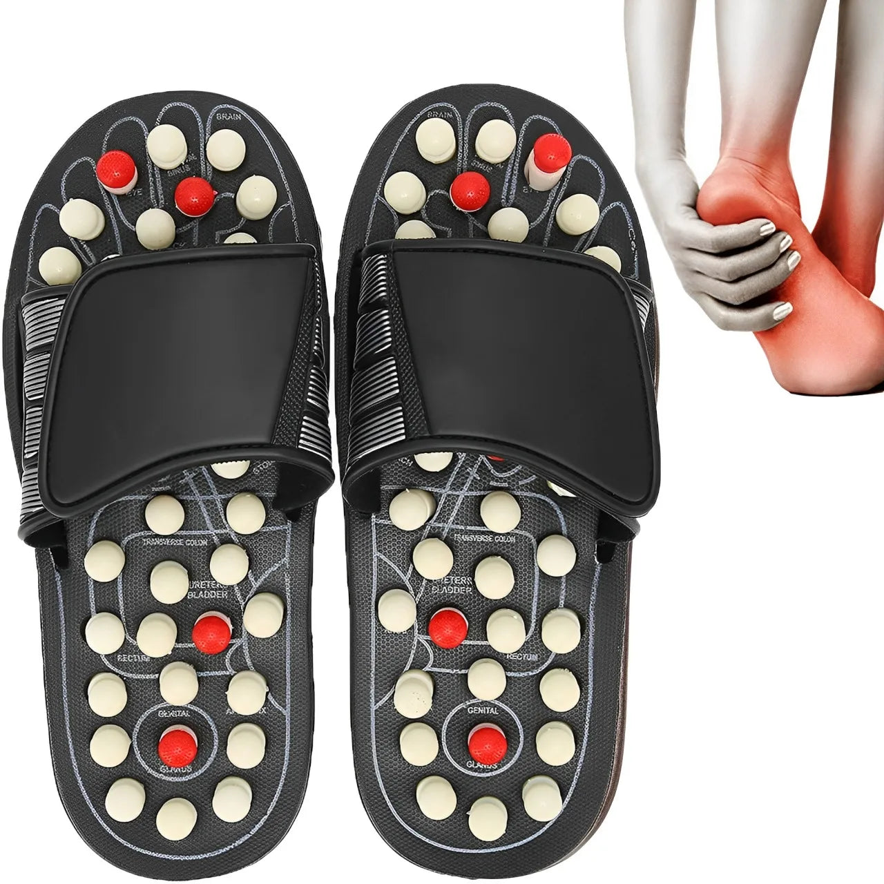 S9a03760eca114fd8b5c2e9ea16bec446N